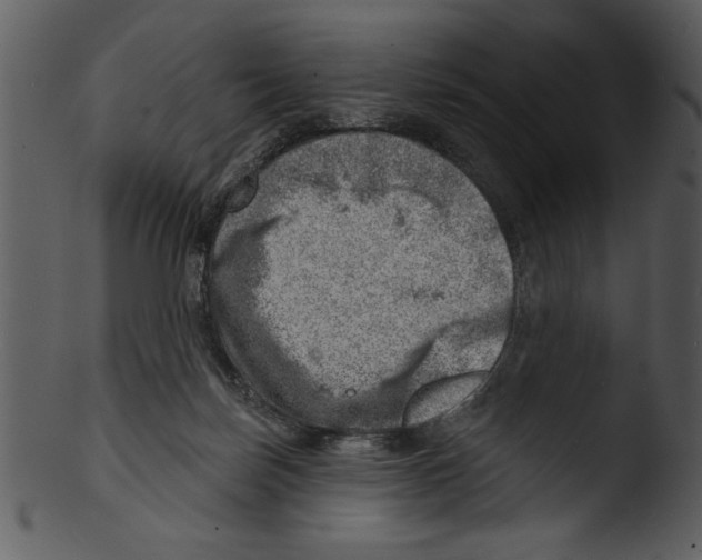 X0000103240171200809251336