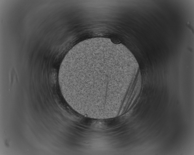 X0000103240174200809251336