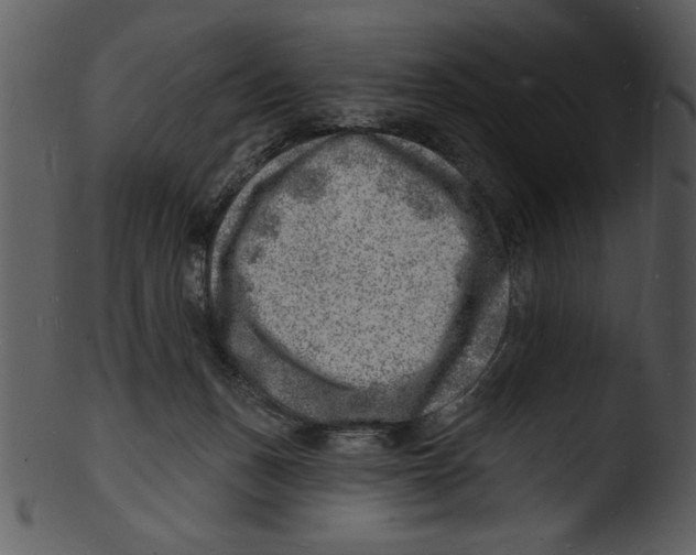 X0000103240175200809251336