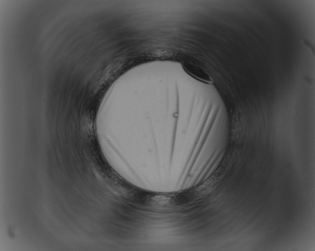 X0000103240176200809251336