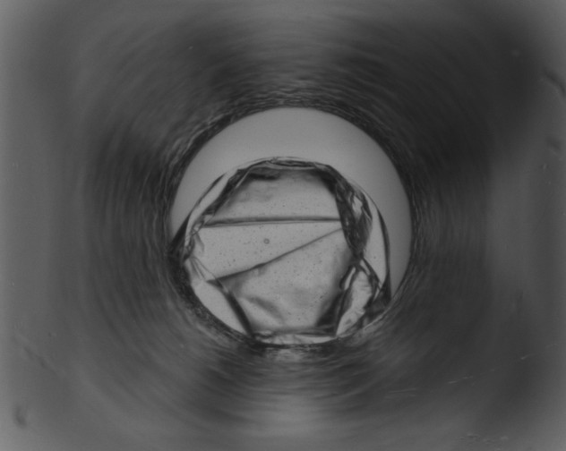 X0000103240180200809251336