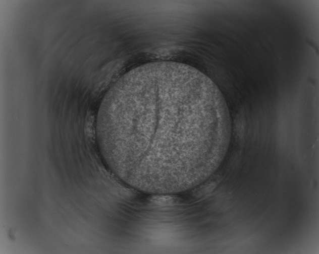 X0000103240181200809251336