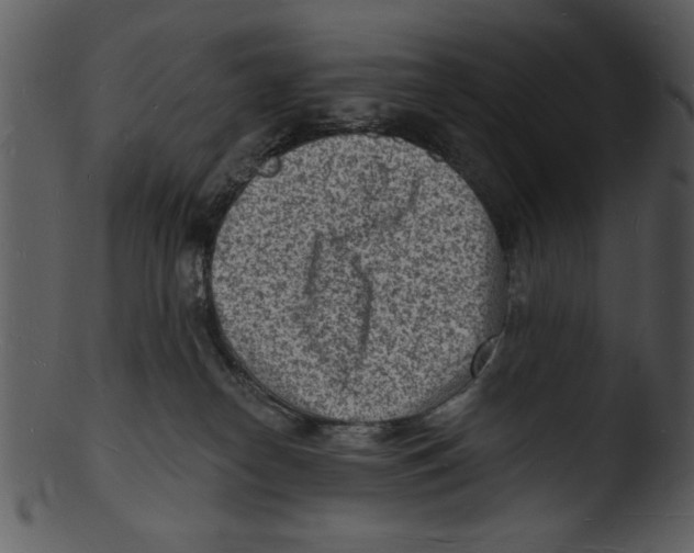 X0000103240182200809251336