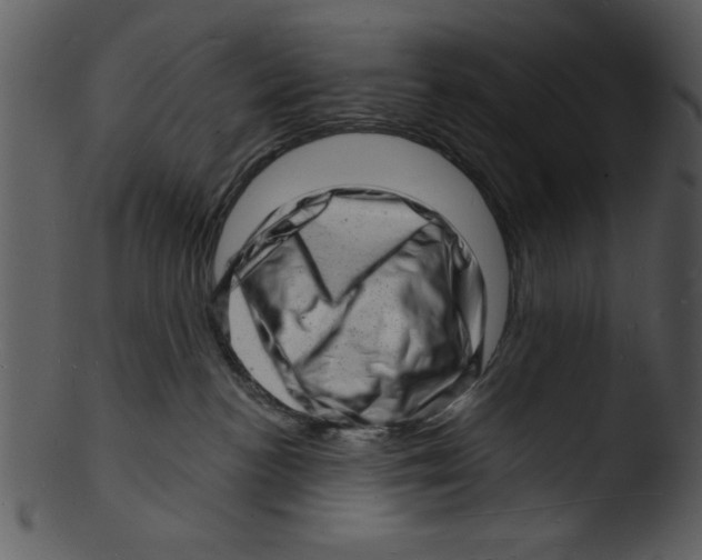 X0000103240188200809251336