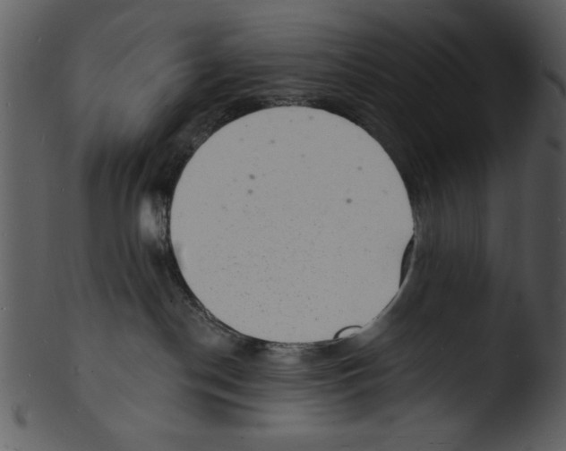 X0000103240190200809251336