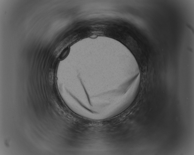 X0000103240194200809251335