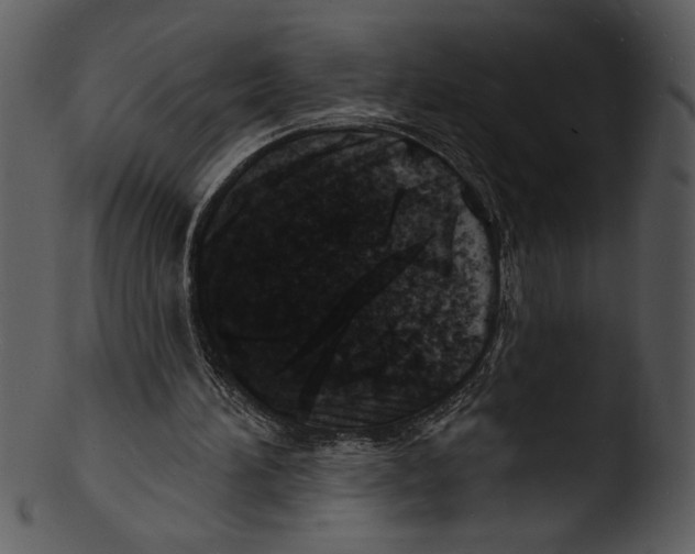 X0000103240196200809251335