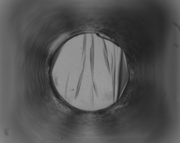 X0000103240197200809251335