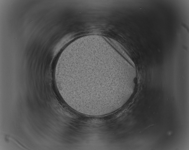 X0000103240198200809251335