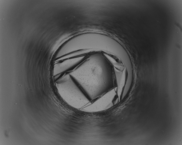 X0000103240199200809251335