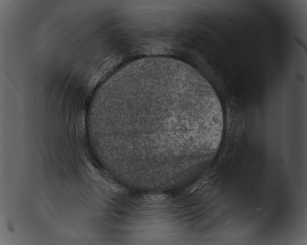 X0000103240202200809251335