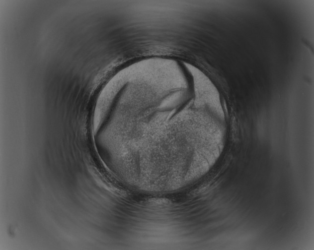 X0000103240203200809251335