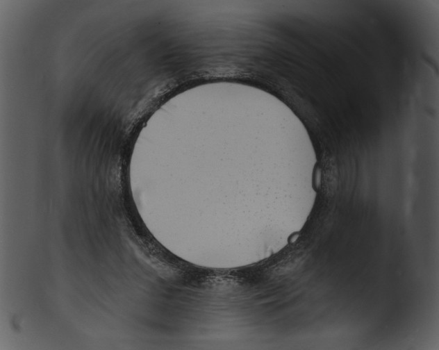 X0000103240207200809251335