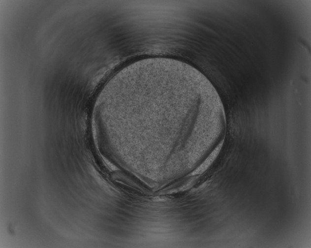 X0000103240208200809251335