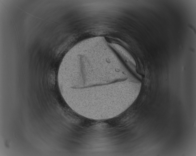 X0000103240210200809251335