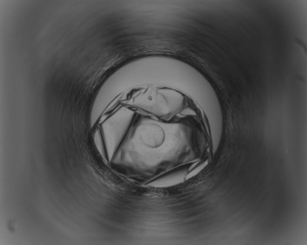 X0000103240211200809251335