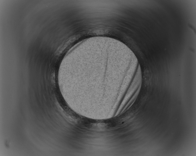 X0000103240212200809251335