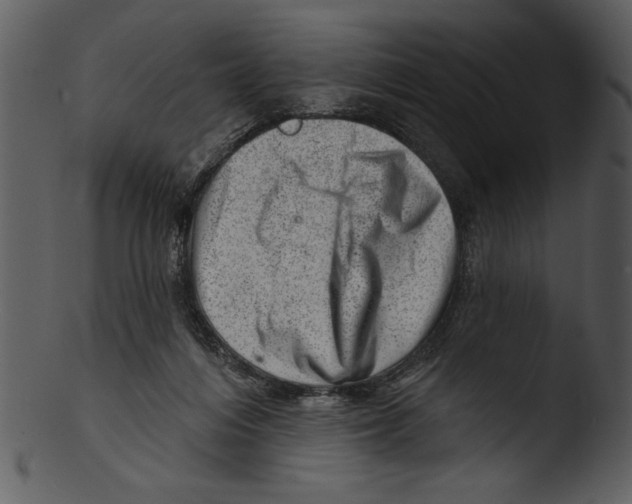 X0000103240216200809251335