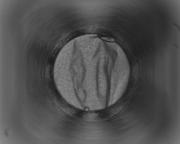 X0000103240217200809251335