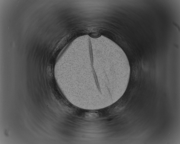 X0000103240220200809251335