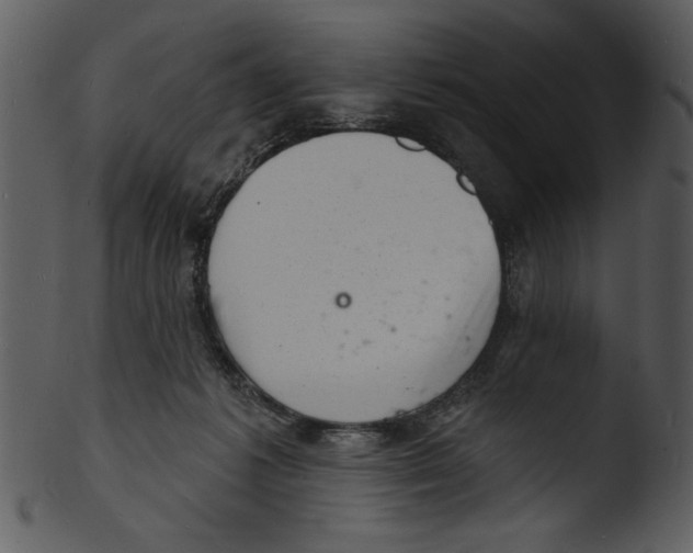 X0000103240221200809251335