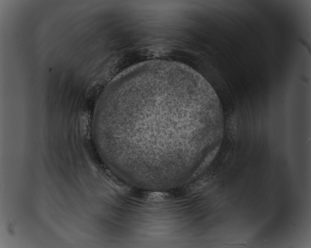 X0000103240222200809251335