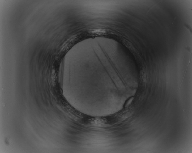 X0000103240223200809251335