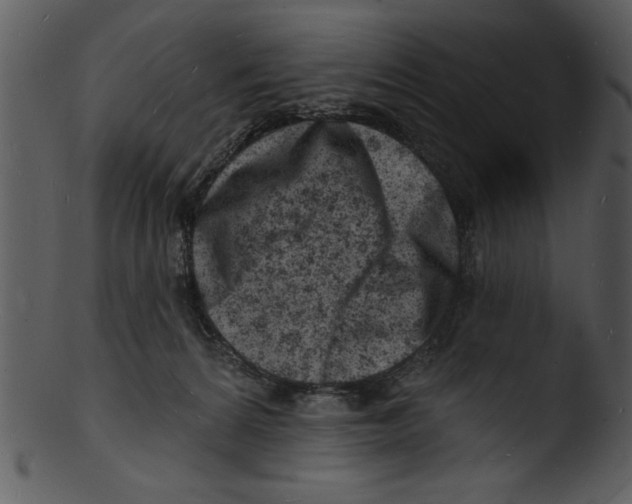 X0000103240224200809251335