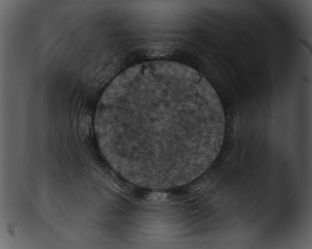 X0000103240227200809251335