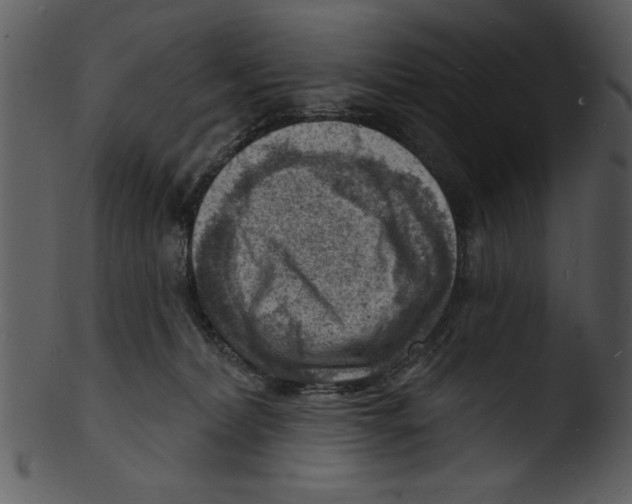 X0000103240228200809251335