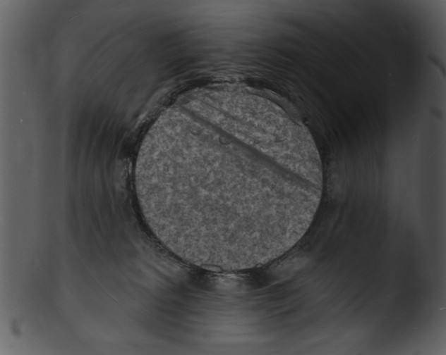 X0000103240229200809251335