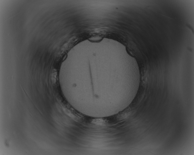 X0000103240231200809251335