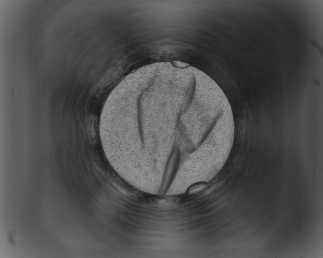 X0000103240232200809251335