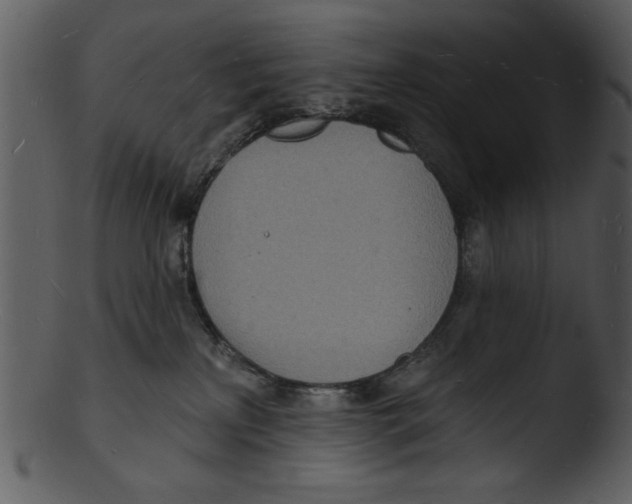 X0000103240233200809251335