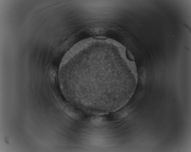 X0000103240235200809251335