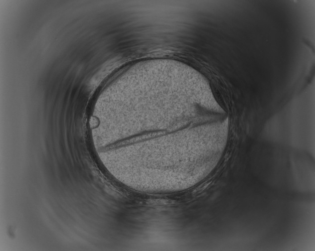 X0000103240242200809251334