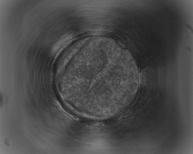 X0000103240243200809251334