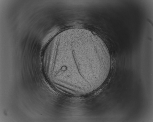 X0000103240245200809251334