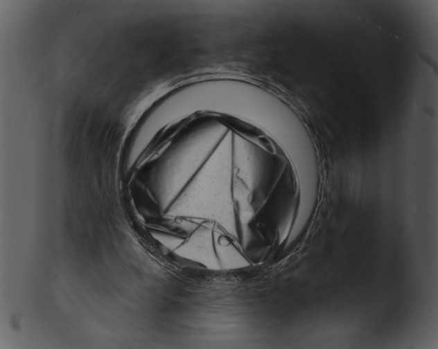 X0000103240248200809251334