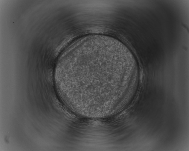 X0000103240249200809251334