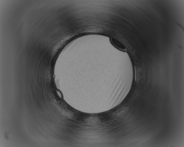 X0000103240252200809251334