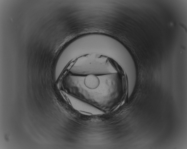 X0000103240256200809251334