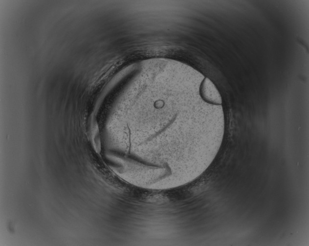 X0000103240258200809251334