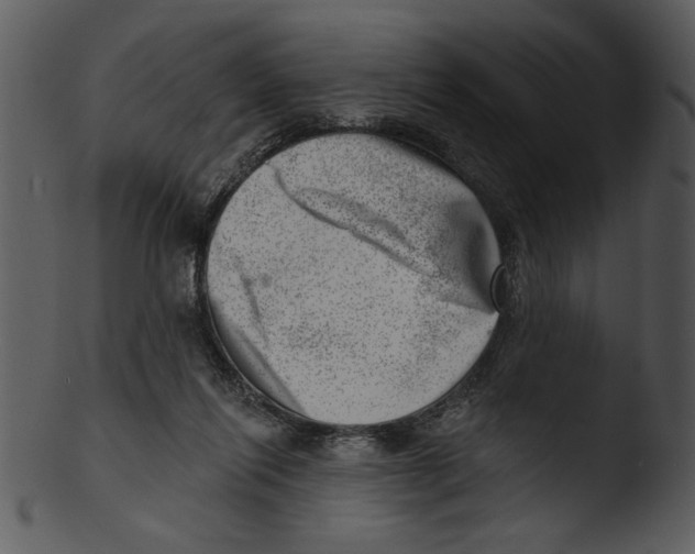 X0000103240262200809251334