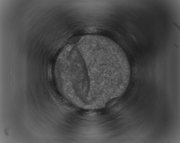 X0000103240267200809251334