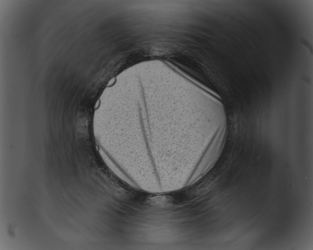 X0000103240269200809251334