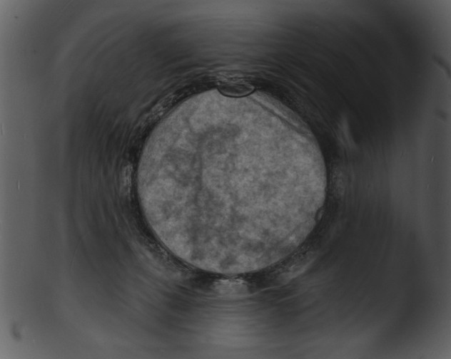 X0000103240271200809251334