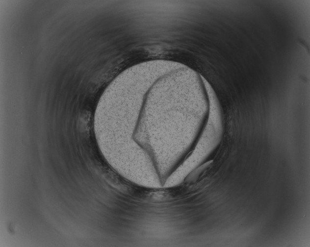 X0000103240275200809251334