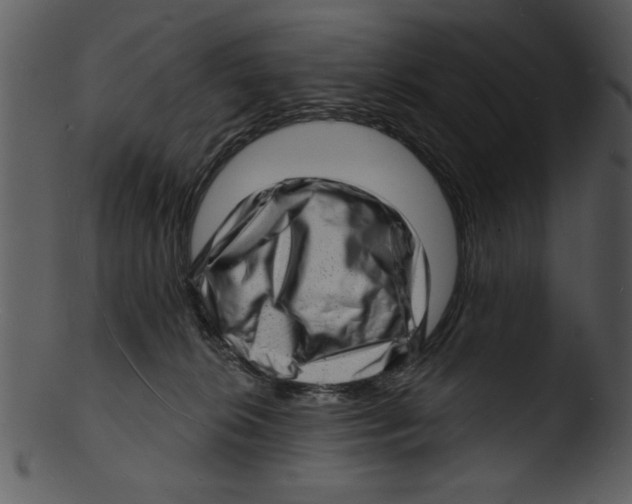 X0000103240276200809251334