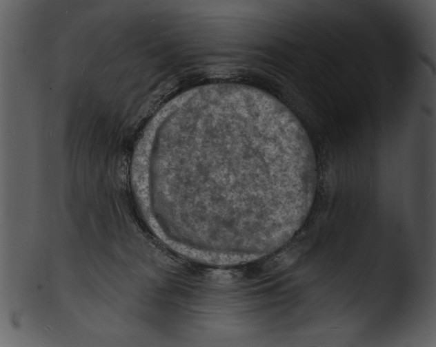 X0000103240277200809251335